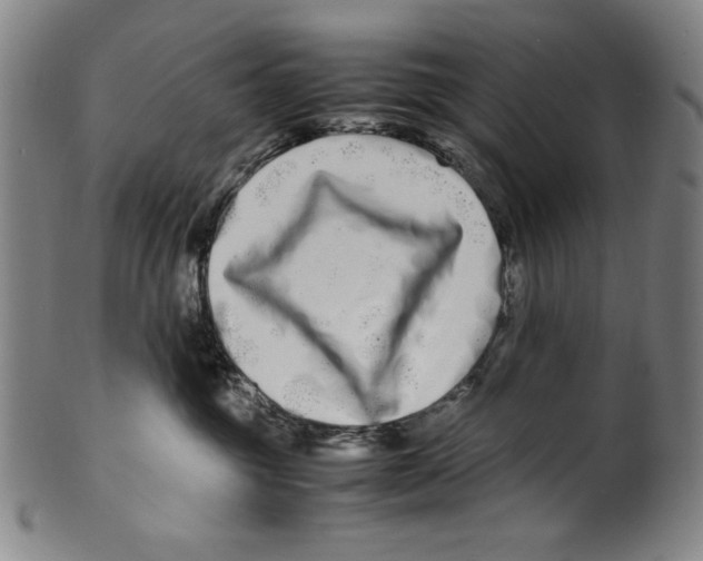 X0000099430381200806061025