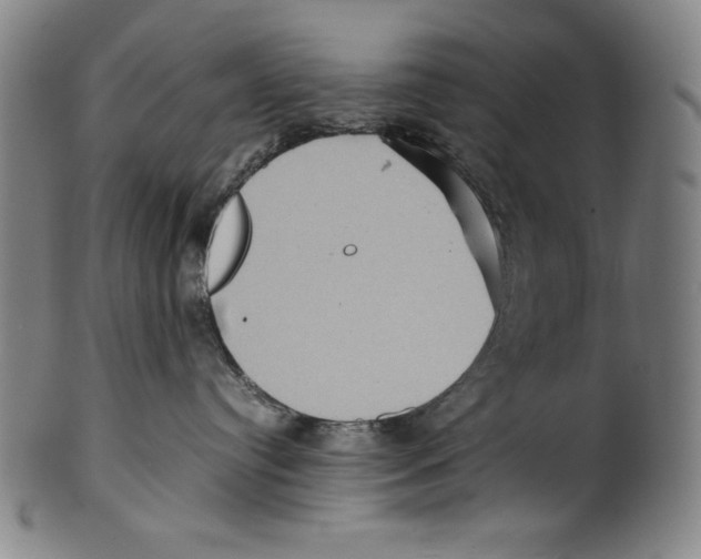 X0000099430384200806061025