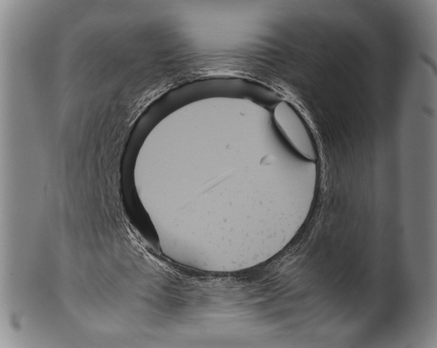 X0000099430385200806061025