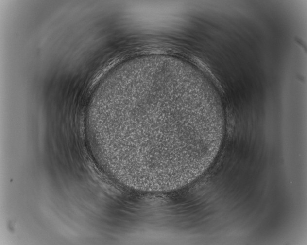 X0000099430386200806061025