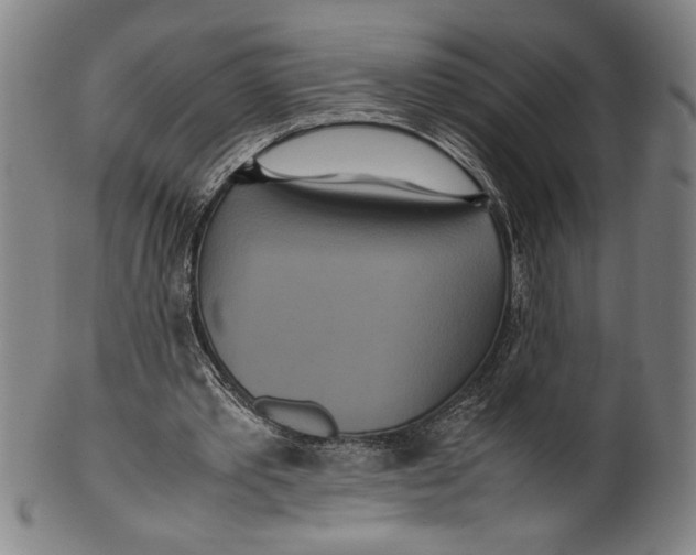 X0000099430389200806061025