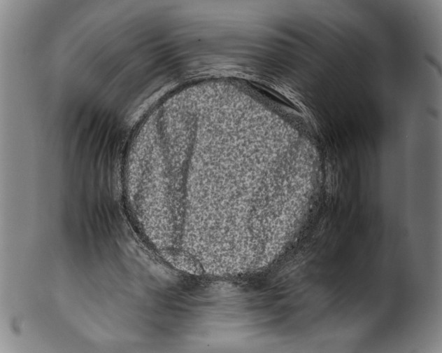 X0000099430390200806061025