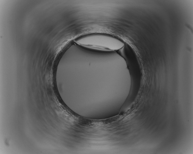 X0000099430391200806061024