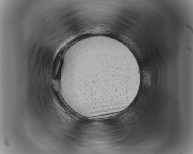 X0000099430392200806061024