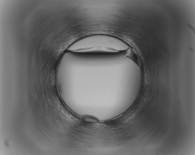 X0000099430393200806061024