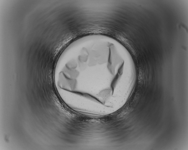 X0000099430394200806061024