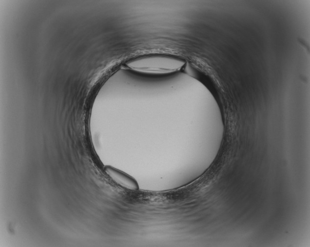 X0000099430395200806061024