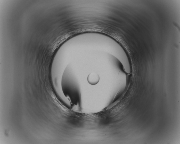 X0000099430397200806061024