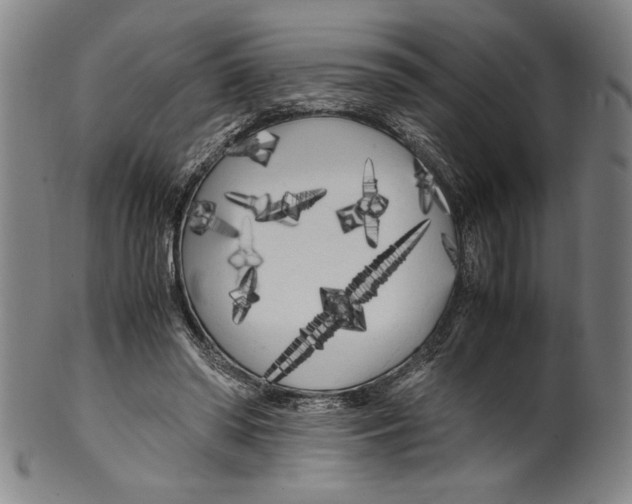 X0000099430398200806061024