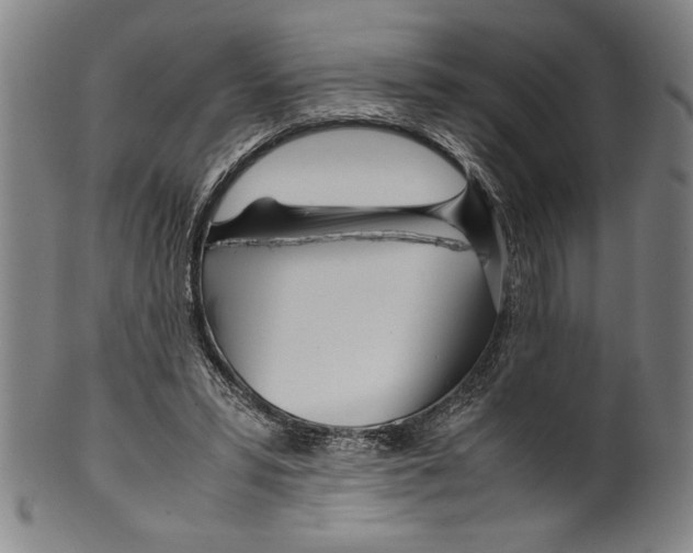 X0000099430399200806061024