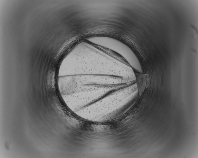 X0000099430400200806061024