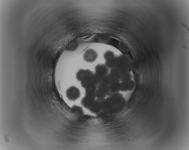 X0000099430402200806061024