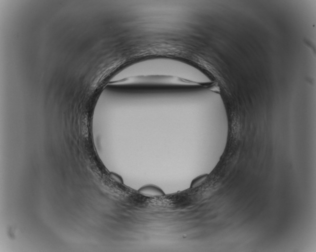 X0000099430403200806061024