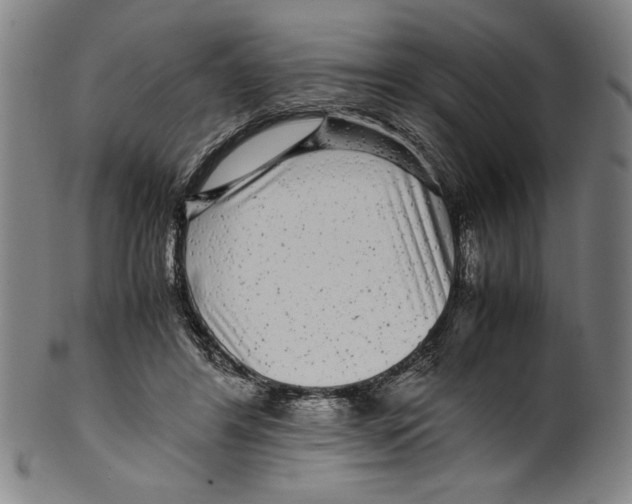 X0000099430404200806061024