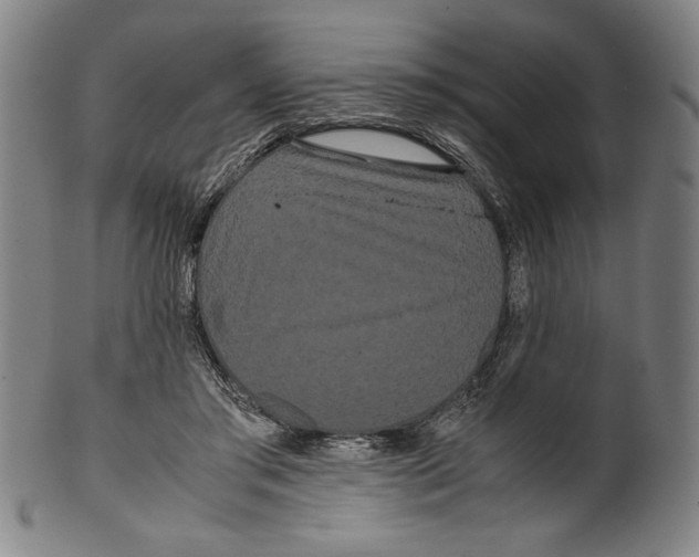 X0000099430405200806061024