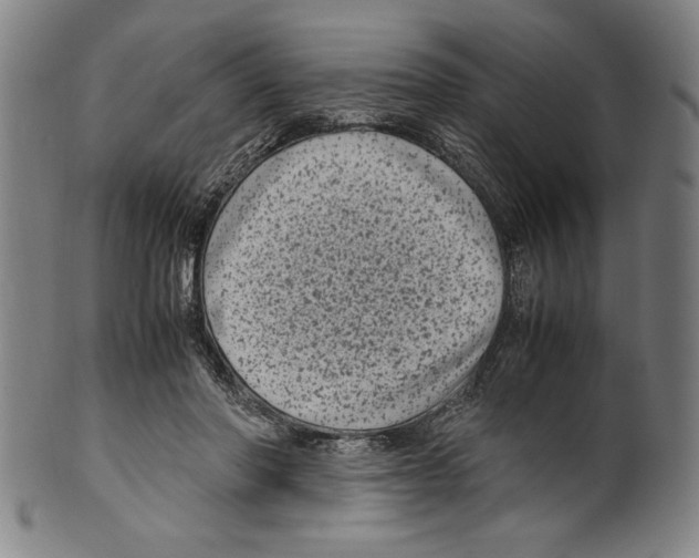 X0000099430406200806061024