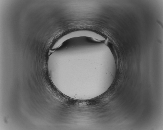 X0000099430407200806061024