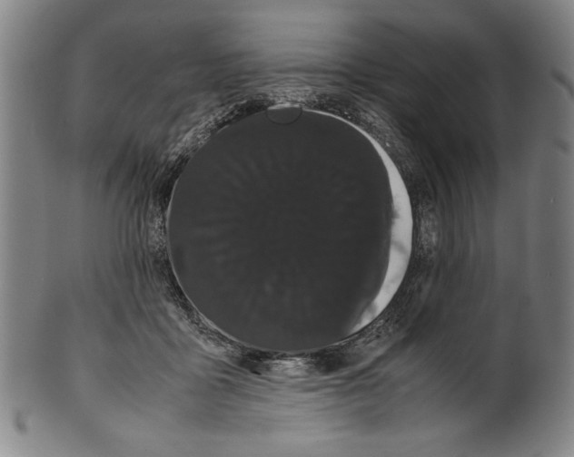 X0000099430411200806061024