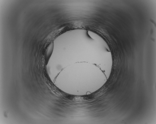 X0000099430413200806061024