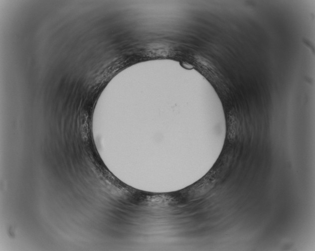 X0000099430414200806061024