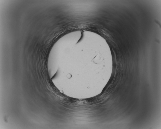 X0000099430415200806061024