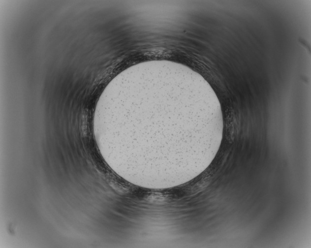 X0000099430416200806061024