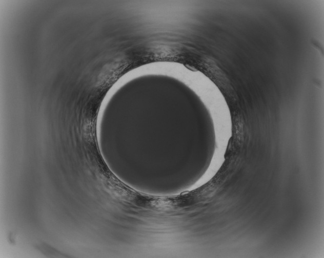 X0000099430419200806061024