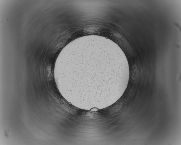 X0000099430420200806061024