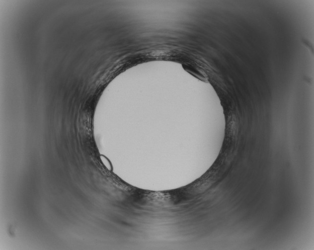 X0000099430421200806061024