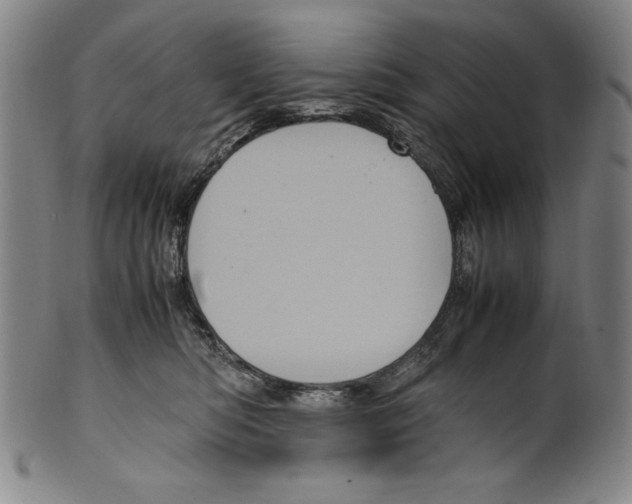 X0000099430422200806061024