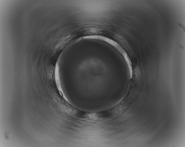 X0000099430423200806061024