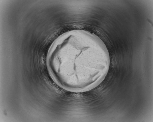 X0000099430424200806061024