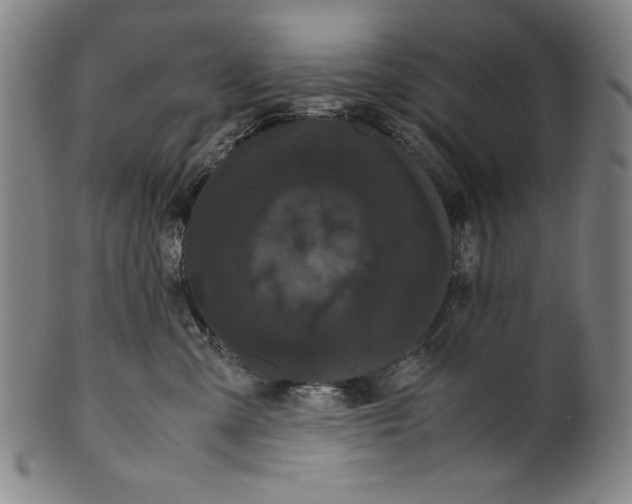 X0000099430427200806061024