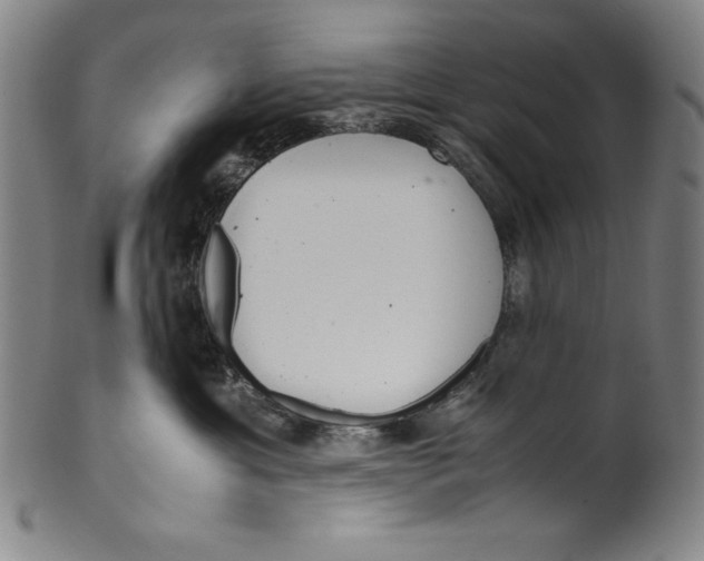 X0000099430429200806061024