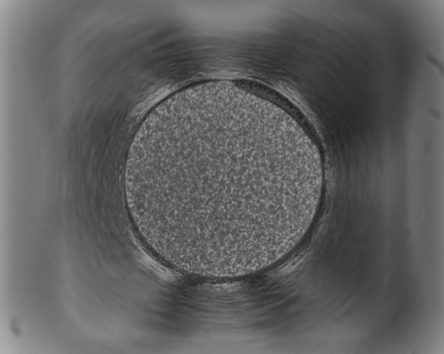 X0000099430433200806061023