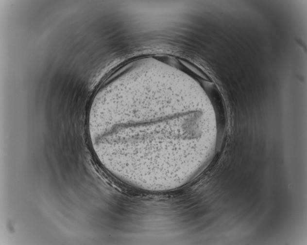 X0000099430434200806061023