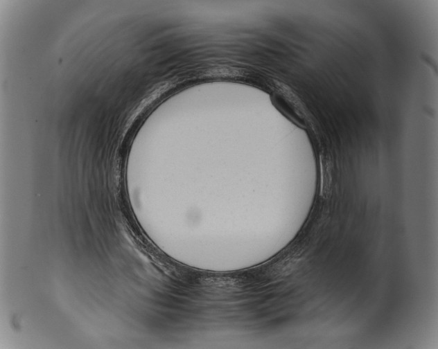 X0000099430435200806061023