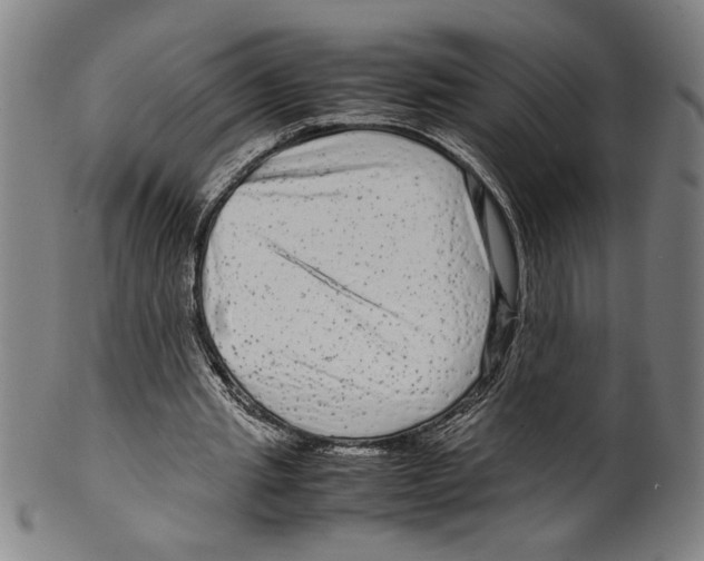 X0000099430437200806061023