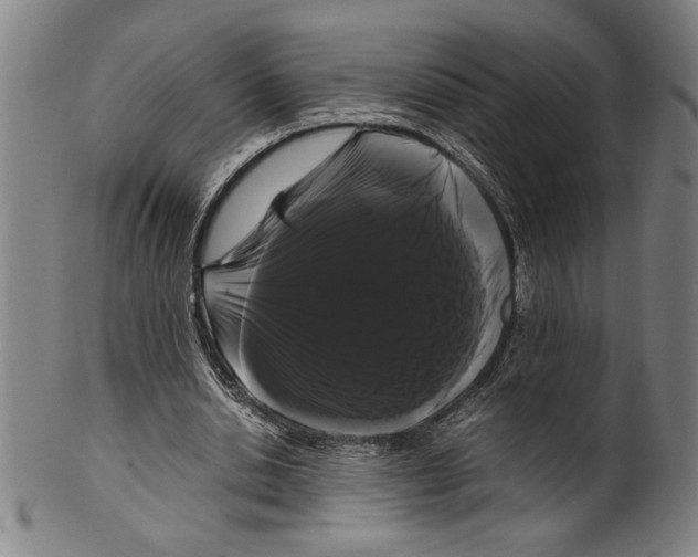 X0000099430438200806061023