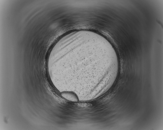 X0000099430439200806061023