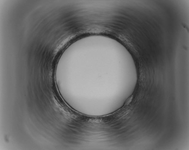 X0000099430440200806061023