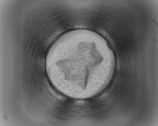 X0000099430441200806061023