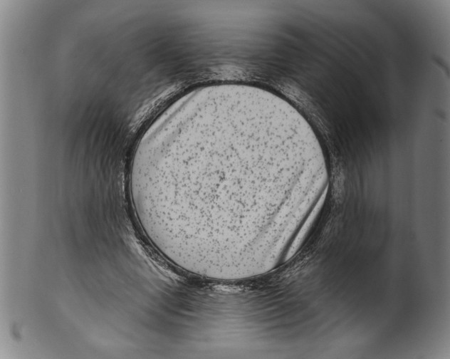 X0000099430442200806061023