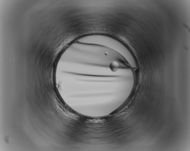 X0000099430443200806061023