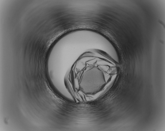 X0000099430444200806061023