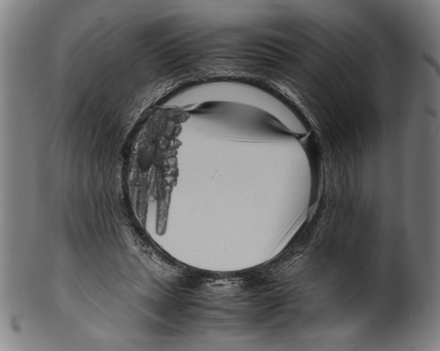 X0000099430447200806061023