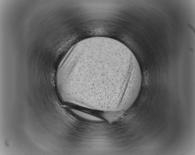 X0000099430450200806061023