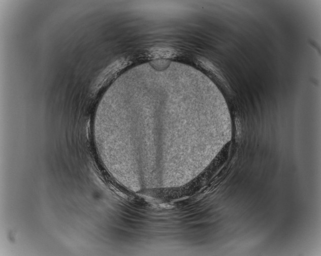 X0000099430451200806061023