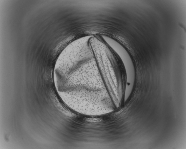 X0000099430453200806061023