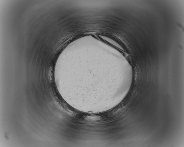 X0000099430455200806061023